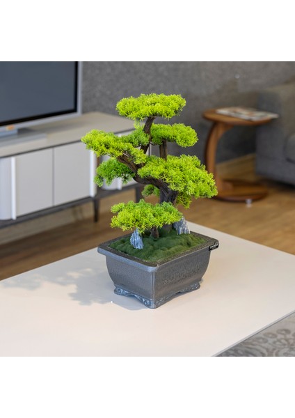 Flora Bonsai-6 Masaüstü Kullanıma Uygun Doğal Ağaç Gövdeli Yapay Bonsai Ağacı - 40X50 cm fiyatları