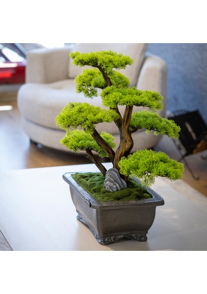 Flora Bonsai-6 Masaüstü Kullanıma Uygun Doğal Ağaç Gövdeli Yapay Bonsai Ağacı - 40X50 cm modelleri