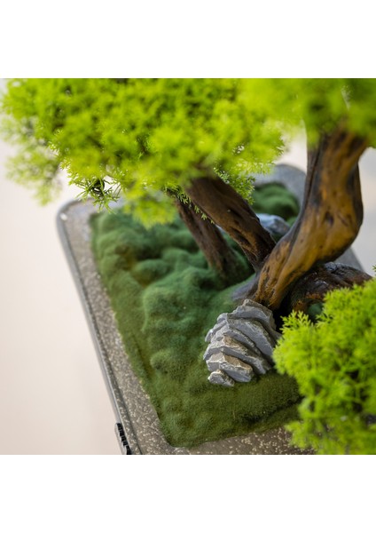 Flora Bonsai-6 Masaüstü Kullanıma Uygun Doğal Ağaç Gövdeli Yapay Bonsai Ağacı - 40X50 cm fırsatları