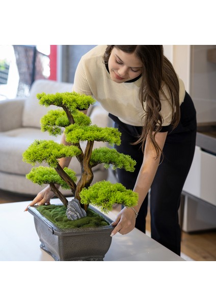 Flora Bonsai-6 Masaüstü Kullanıma Uygun Doğal Ağaç Gövdeli Yapay Bonsai Ağacı - 40X50 cm indirimleri