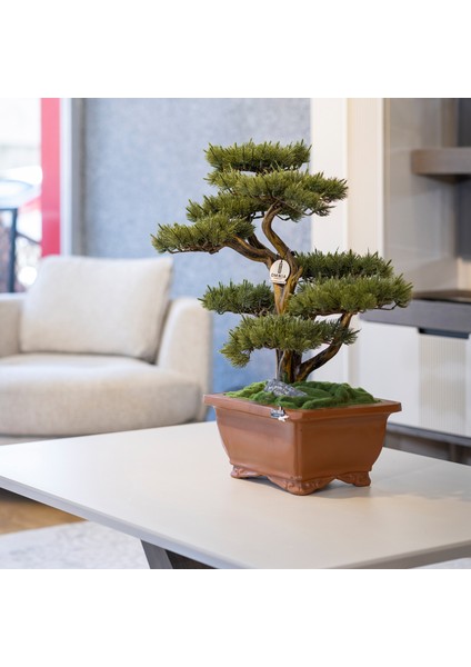Flora Bonsai-4 Masaüstü Kullanıma Uygun Doğal Ağaç Gövdeli Yapay Bonsai Ağacı - 40X50 cm