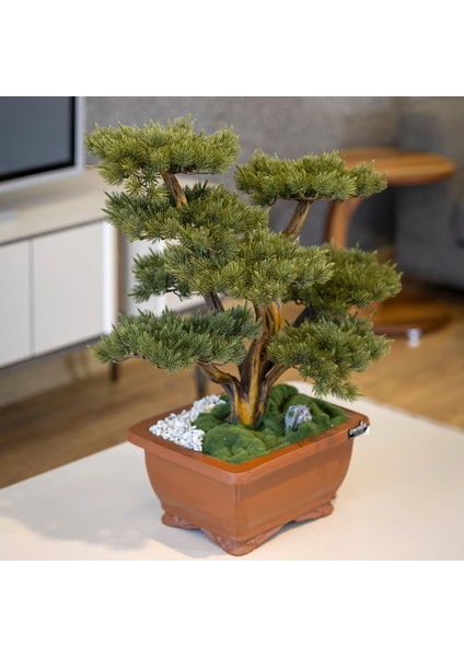 Flora Bonsai-4 Masaüstü Kullanıma Uygun Doğal Ağaç Gövdeli Yapay Bonsai Ağacı - 40X50 cm modelleri