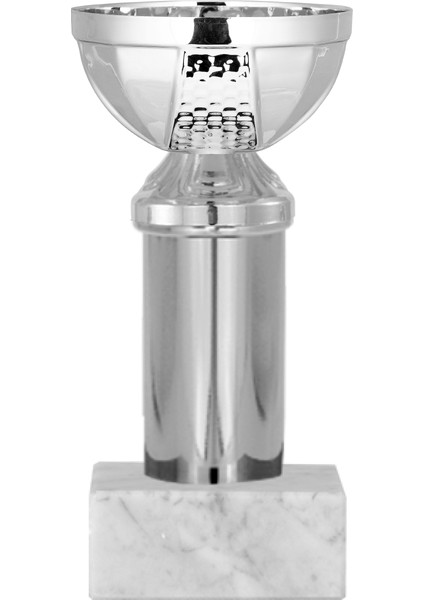 Kişiye Özel Futbol Kupası Ödül Kupası Tören Kupası 17 cm ECO-043