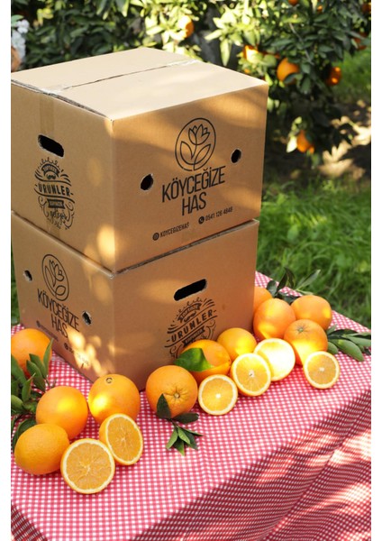 10 kg Köyceğiz Portakalı