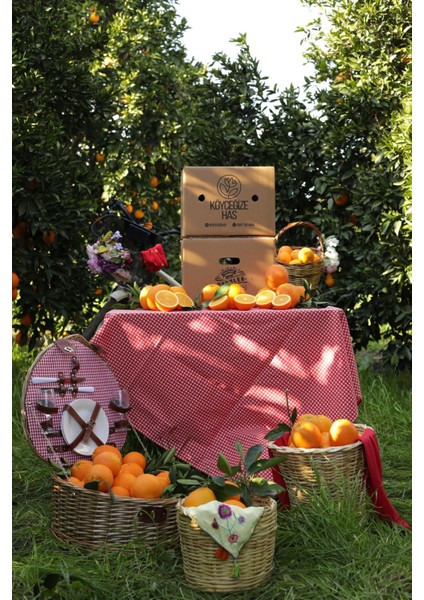 10 kg Köyceğiz Portakalı indirimleri