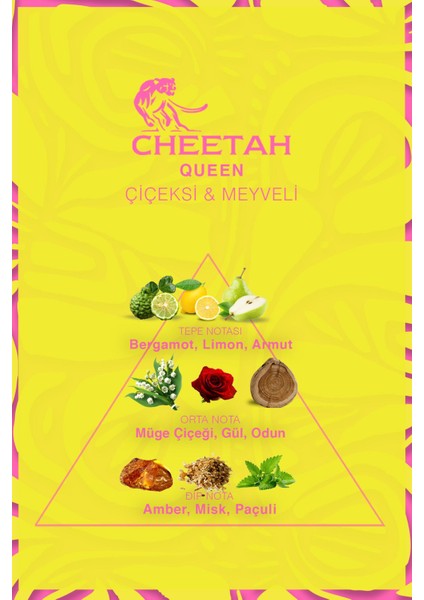 Queen Kadın Parfümü 100 ml Çiçeksi-Meyveli modelleri