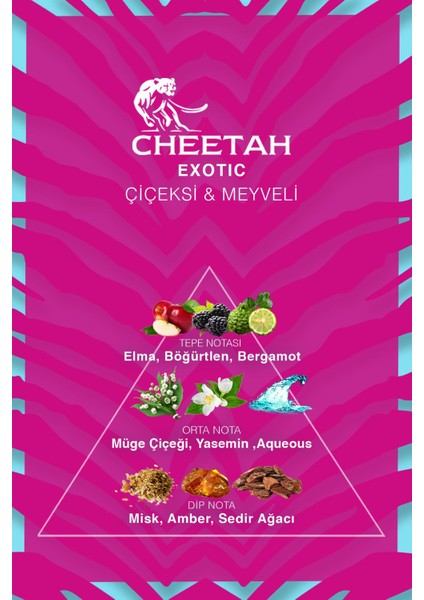 Exotic Kadın Parfümü 100 ml Edp