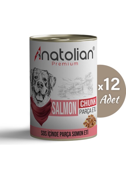 Anatolian Premium Adult Salmon Somonlu Parça Etli Yetişkin Köpek Konservesi 400 gr 12 Adet