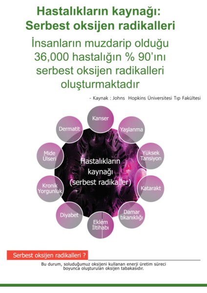 Canlı Su Matarası