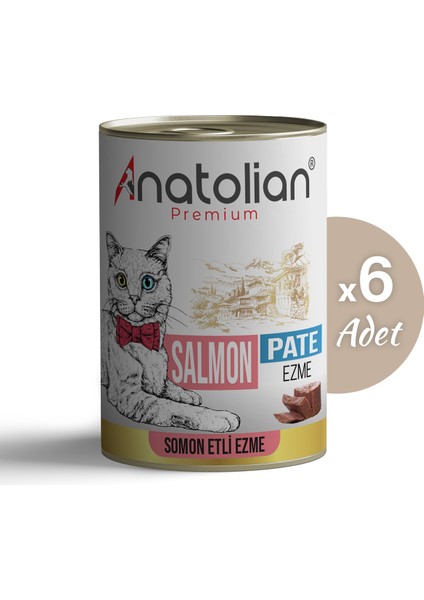 Adult Salmon Pate Somonlu Yetişkin Ezme Kedi Konservesi 400 gr x 6 Adet