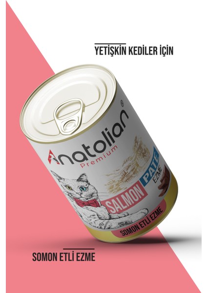 Adult Salmon Pate Somonlu Yetişkin Ezme Kedi Konservesi 400 gr x 6 Adet fiyatları