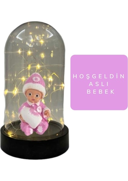 Fanus Teraryum - Kız Bebek