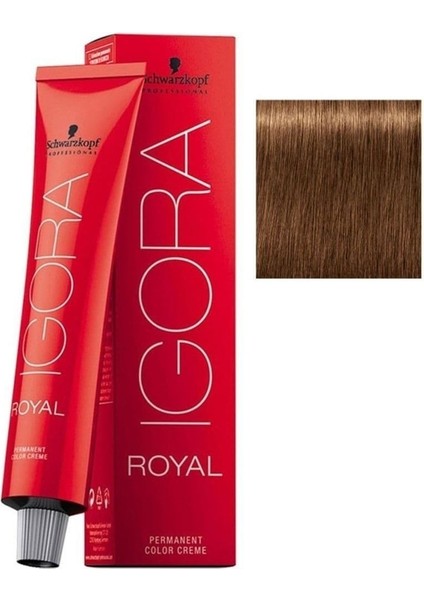 9 Adet Igora Royal 7-55 Kumral-Yoğun Altın Saç Boyası