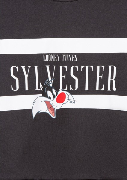 Sylvester Baskılı Antrasit SWEATSHIRT7S10074-70087