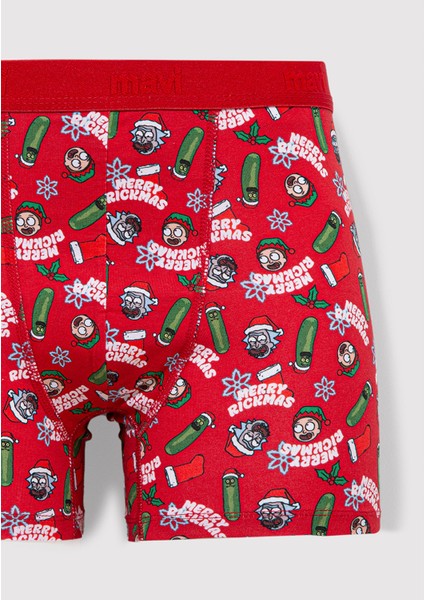 Yılbaşı Temalı Baskılı BOXER0911246-32421 fiyatları
