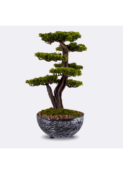 Galatea Thuja-5 Masaüstü Kullanıma Uygun Doğal Ağaç Gövdeli Yapay Bonsai Ağacı - 45X60 cm