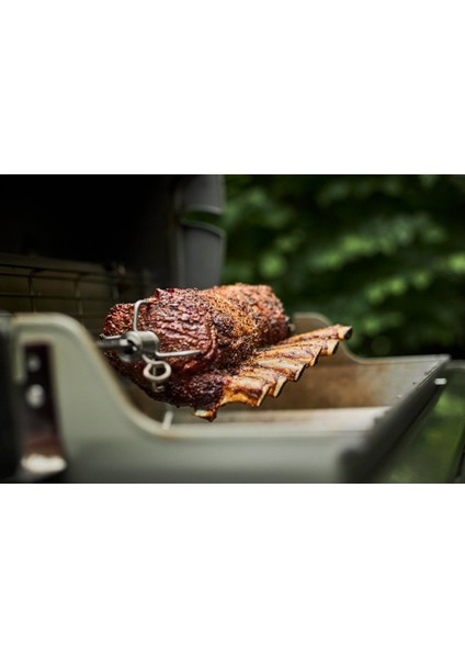 Rotisserie - Spirit 200 And 300 Series
