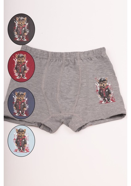 Renkli Köpek Resimli Erkek Çocuk Boxer