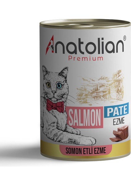 Adult Salmon Pate Somonlu Yetişkin Ezme Kedi Konservesi 400 gr