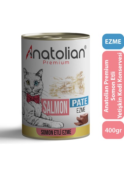 Adult Salmon Pate Somonlu Yetişkin Ezme Kedi Konservesi 400 gr