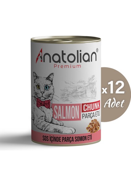 Adult Salmon Somonlu Yetişkin Kedi Konservesi 400 gr x 12 Adet