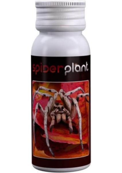 Spider Plant 15 ml Bitki Kırmızı Örümcek İlacı