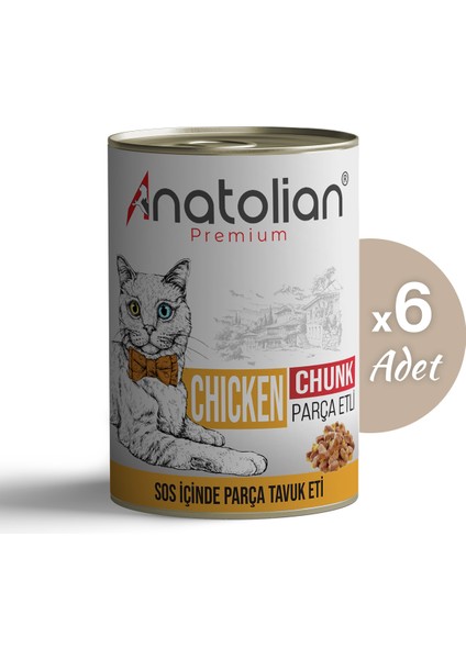 Adult Chicken Tavuklu Yetişkin Kedi Konserve 400 gr x 6 Adet