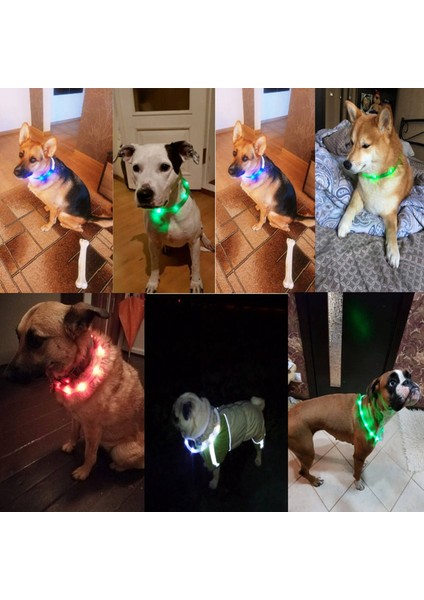 Pembe Tarzı S 35CM Pandada LED Köpek Tasması USB Pet Köpek Luminous Tasması Gece Tasması Köpekler Için Şarj Edilebilir Güvenlik Yanıp Sönen Parlayan Parıldayan (Yurt Dışından)