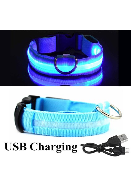 Mavi USB Stili Xl Boyutu Şarj Edilebilir Aydınlatmalı Köpek Tasma Ayarlanabilir Büyük Köpek Gece Işığı Tasma Pet Güvenlik Tasma Küçük Köpekler Kediler Için (Yurt Dışından)