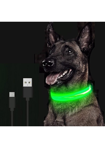 Mavi USB Stili Xl Boyutu Şarj Edilebilir Aydınlatmalı Köpek Tasma Ayarlanabilir Büyük Köpek Gece Işığı Tasma Pet Güvenlik Tasma Küçük Köpekler Kediler Için (Yurt Dışından)