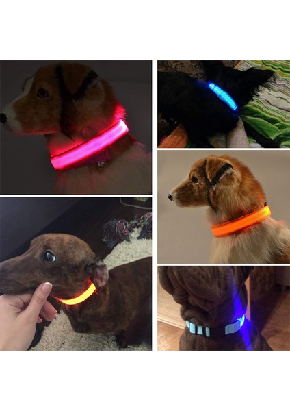 Mavi USB Stili Xl Boyutu Şarj Edilebilir Aydınlatmalı Köpek Tasma Ayarlanabilir Büyük Köpek Gece Işığı Tasma Pet Güvenlik Tasma Küçük Köpekler Kediler Için (Yurt Dışından)