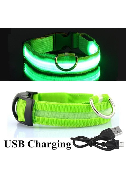 Yeşil USB Stili L Boyutu Şarj Edilebilir Aydınlatmalı Köpek Tasma Ayarlanabilir Büyük Köpek Gece Işığı Tasma Pet Güvenlik Tasma Küçük Köpekler Kediler Için (Yurt Dışından)