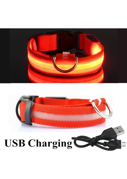 Kırmızı USB Stili M Boyutu Şarj Edilebilir Aydınlatmalı Köpek Tasma Ayarlanabilir Büyük Köpek Gece Işığı Tasma Pet Güvenlik Tasma Küçük Köpekler Kediler Için (Yurt Dışından)