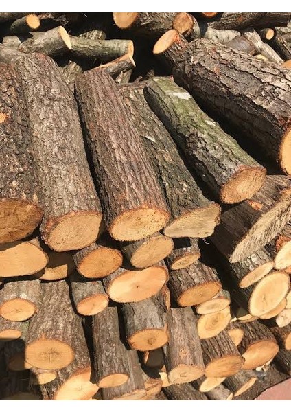 Şömine Odunu 10KG Meşe Odunu