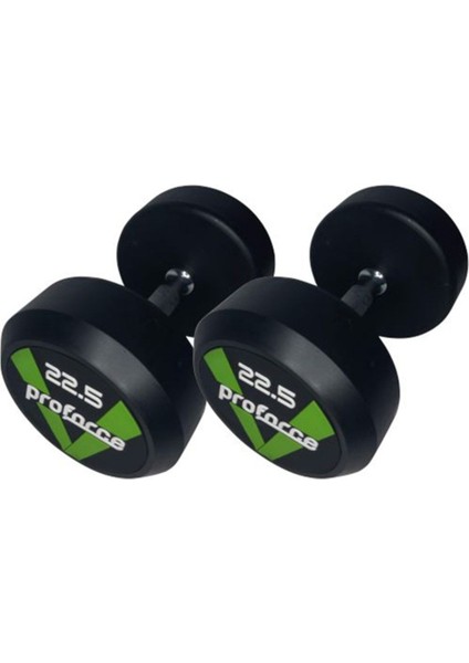 Dambıl Ağırlık 22,5 kg ( Tek Adet )