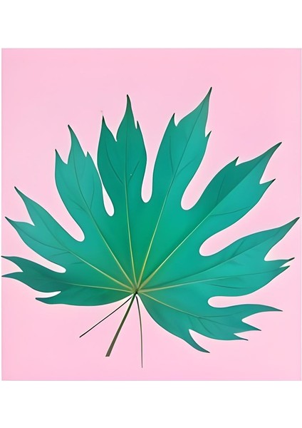 Matisse - Boho - Art Deco - Soyut - Doğa ( 3 Lü Çerçevesiz ) Poster - Afiş - Tablo KR2C00654/ fırsatları