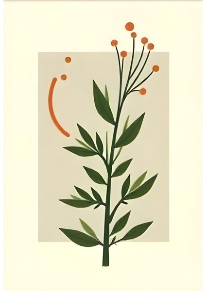 Matisse - Boho - Art Deco - Soyut - Doğa ( 3 Lü Çerçevesiz ) Poster - Afiş - Tablo KR2C00096/