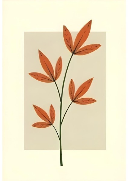 Matisse - Boho - Art Deco - Soyut - Doğa ( 3 Lü Çerçevesiz ) Poster - Afiş - Tablo KR2C00096/