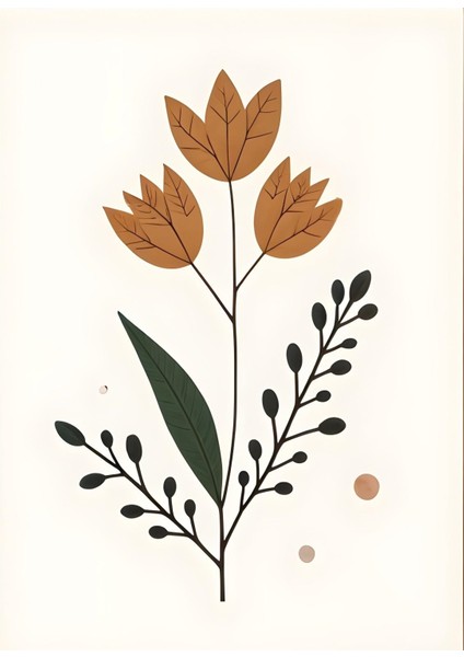 Matisse - Boho - Art Deco - Soyut - Doğa ( 3 Lü Çerçevesiz ) Poster - Afiş - Tablo KR2C00074/ modelleri