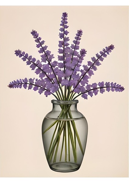 Matisse - Boho - Art Deco - Soyut - Doğa ( 3 Lü Çerçevesiz ) Poster - Afiş - Tablo KR2C00280/ modelleri