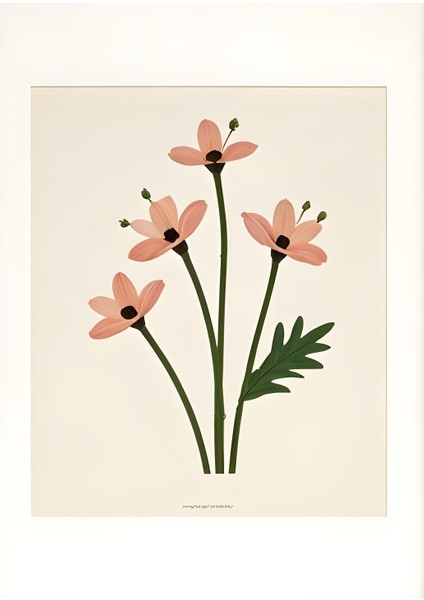 Matisse - Boho - Art Deco - Soyut - Doğa ( 3 Lü Çerçevesiz ) Poster - Afiş - Tablo KR2C00114/ fiyatları
