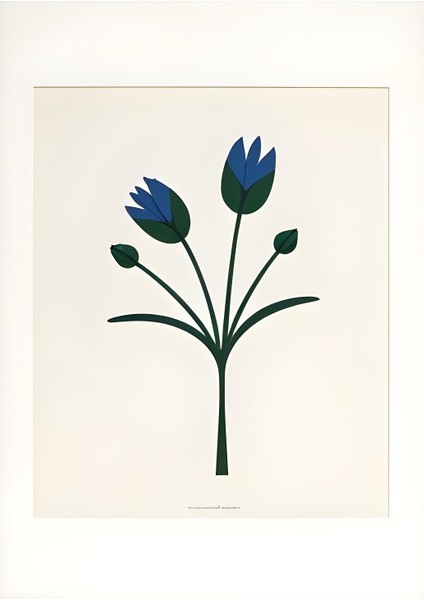 Matisse - Boho - Art Deco - Soyut - Doğa ( 3 Lü Çerçevesiz ) Poster - Afiş - Tablo KR2C00114/ fırsatları