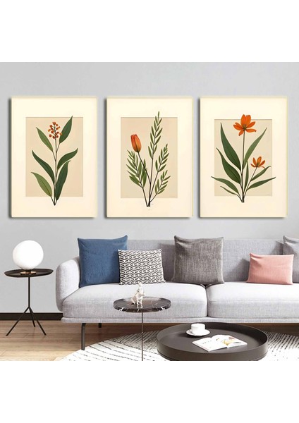 Matisse - Boho - Art Deco - Soyut - Doğa ( 3 Lü Çerçevesiz ) Poster - Afiş - Tablo KR2C00094/