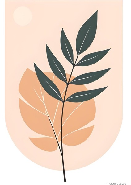 Matisse - Boho - Art Deco - Soyut - Doğa ( 3 Lü Çerçevesiz ) Poster - Afiş - Tablo KR2C00134/