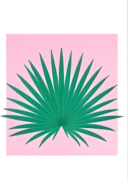 Matisse - Boho - Art Deco - Soyut - Doğa ( 3 Lü Çerçevesiz ) Poster - Afiş - Tablo KR2C00653/ fırsatları