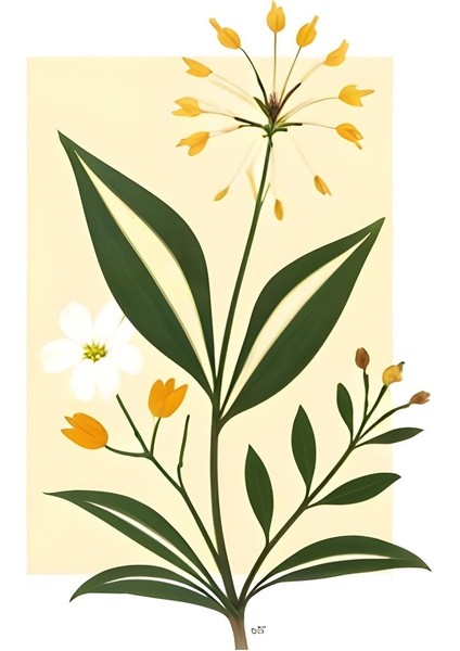 Matisse - Boho - Art Deco - Soyut - Doğa ( 3 Lü Çerçevesiz ) Poster - Afiş - Tablo KR2C00091/