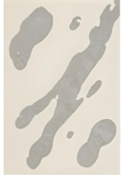 Matisse - Boho - Art Deco - Soyut - Doğa ( 3 Lü Çerçevesiz ) Poster - Afiş - Tablo KR2C00698/ modelleri