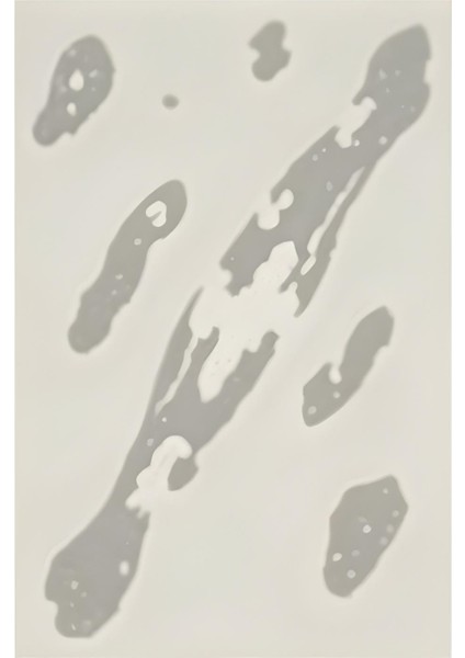Matisse - Boho - Art Deco - Soyut - Doğa ( 3 Lü Çerçevesiz ) Poster - Afiş - Tablo KR2C00698/ fırsatları
