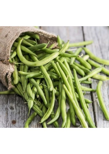 Fasulye Teğmen Oturak ( Çoklu Tohum ) - 25 Gram