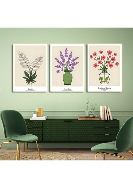 Matisse - Boho - Art Deco - Soyut - Doğa ( 3 Lü Çerçevesiz ) Poster - Afiş - Tablo KR2C00281/